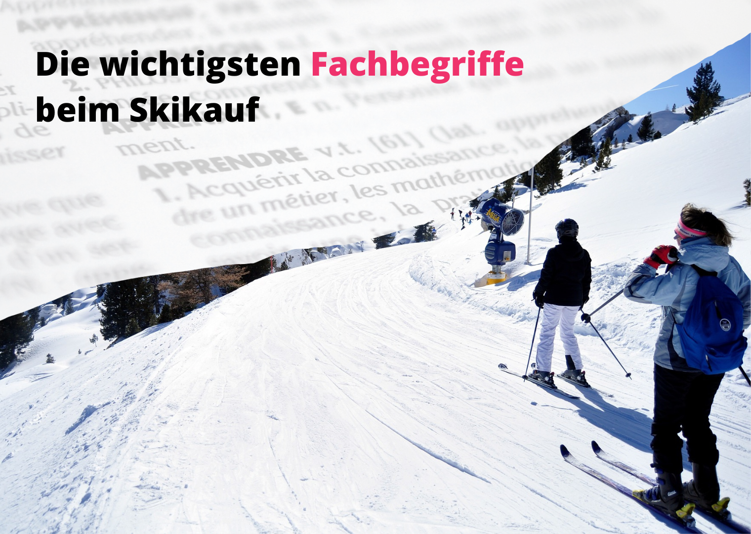 Fachbegriffe-Skikauf-Titelbild
